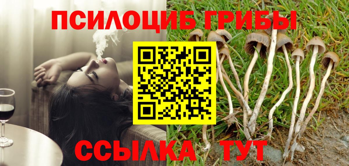 Псилоцибиновые грибы Psilocybine cubensis Нижнекамск
