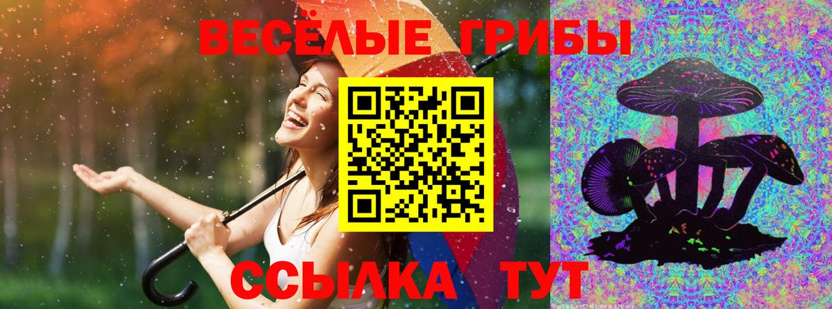 Псилоцибиновые грибы GOLDEN TEACHER  Вход с VPN  Нижнекамск 